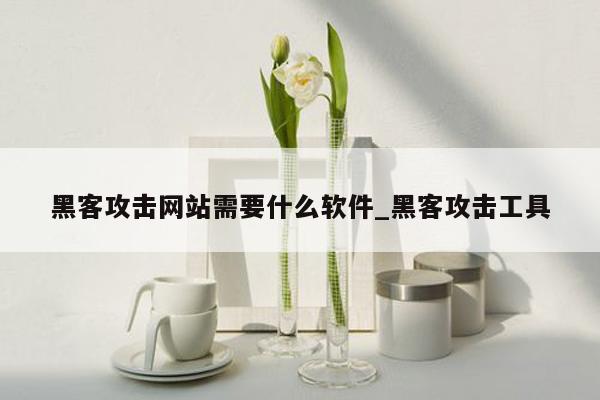 黑客攻击网站需要什么软件_黑客攻击工具