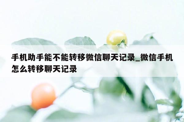 手机助手能不能转移微信聊天记录_微信手机怎么转移聊天记录