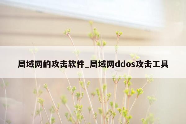 局域网的攻击软件_局域网ddos攻击工具