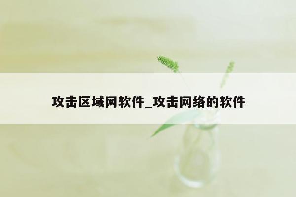 攻击区域网软件_攻击网络的软件