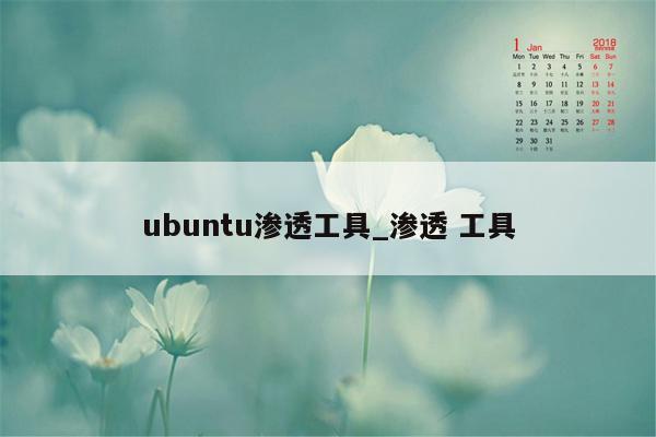 ubuntu渗透工具_渗透 工具