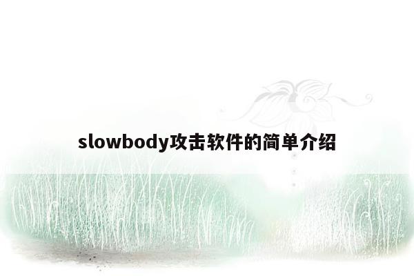 slowbody攻击软件的简单介绍