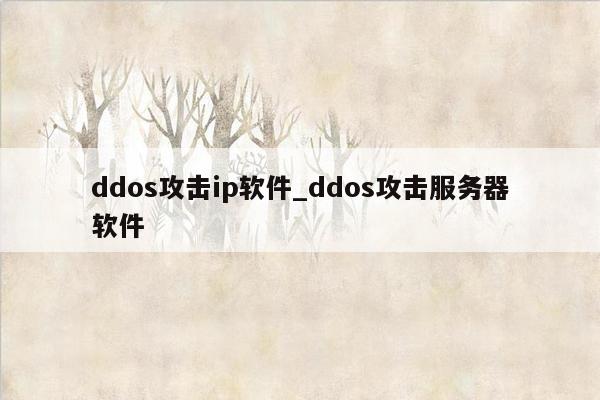 ddos攻击ip软件_ddos攻击服务器软件