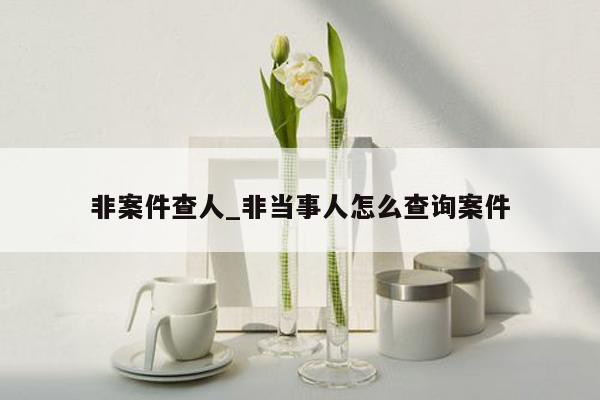 非案件查人_非当事人怎么查询案件