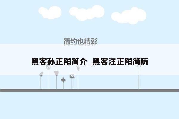 黑客孙正阳简介_黑客汪正阳简历