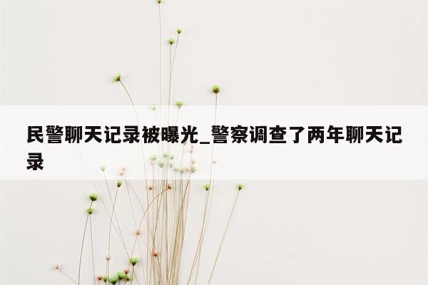 民警聊天记录被曝光_警察调查了两年聊天记录