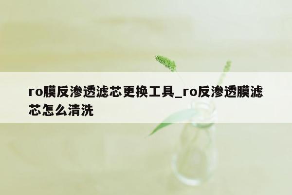 ro膜反渗透滤芯更换工具_ro反渗透膜滤芯怎么清洗