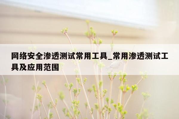 网络安全渗透测试常用工具_常用渗透测试工具及应用范围