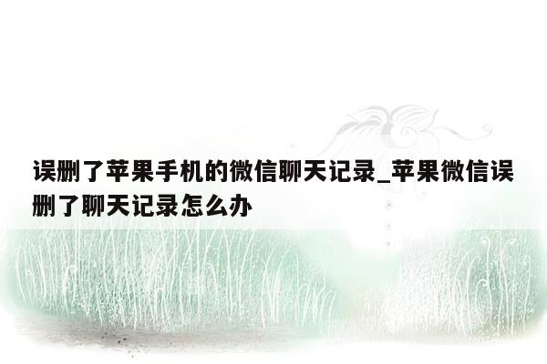 误删了苹果手机的微信聊天记录_苹果微信误删了聊天记录怎么办