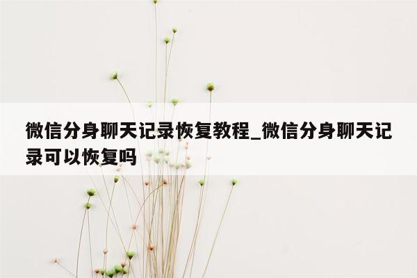 微信分身聊天记录恢复教程_微信分身聊天记录可以恢复吗