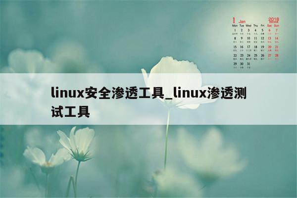 linux安全渗透工具_linux渗透测试工具