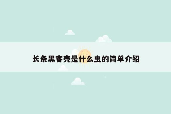 长条黑客壳是什么虫的简单介绍