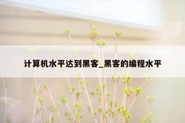 计算机水平达到黑客_黑客的编程水平