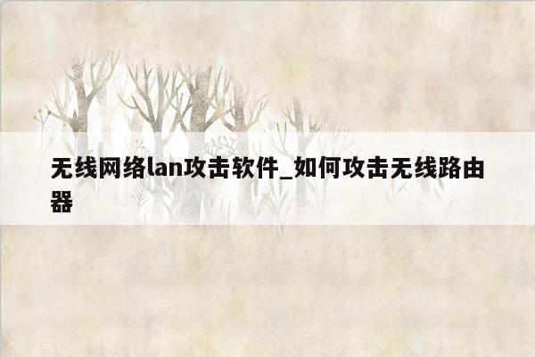 无线网络lan攻击软件_如何攻击无线路由器