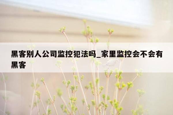 黑客别人公司监控犯法吗_家里监控会不会有黑客