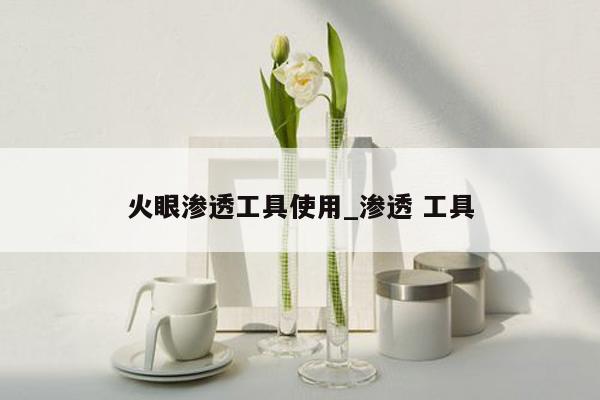 火眼渗透工具使用_渗透 工具