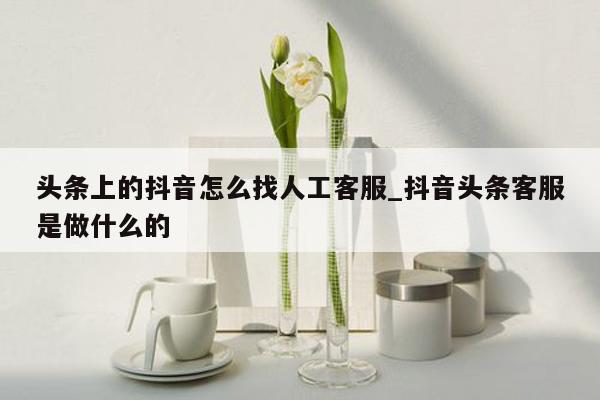 头条上的抖音怎么找人工客服_抖音头条客服是做什么的