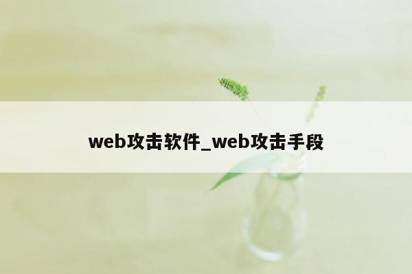 web攻击软件_web攻击手段