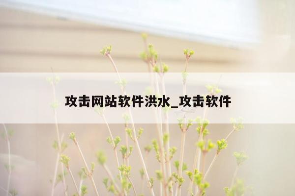 攻击网站软件洪水_攻击软件