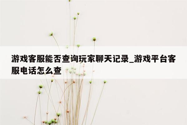 游戏客服能否查询玩家聊天记录_游戏平台客服电话怎么查