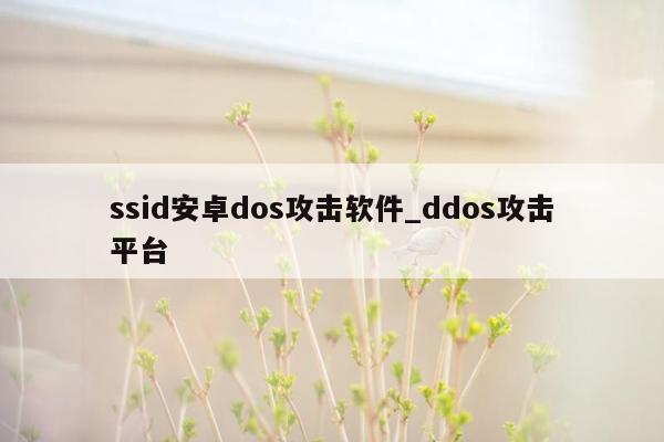 ssid安卓dos攻击软件_ddos攻击平台