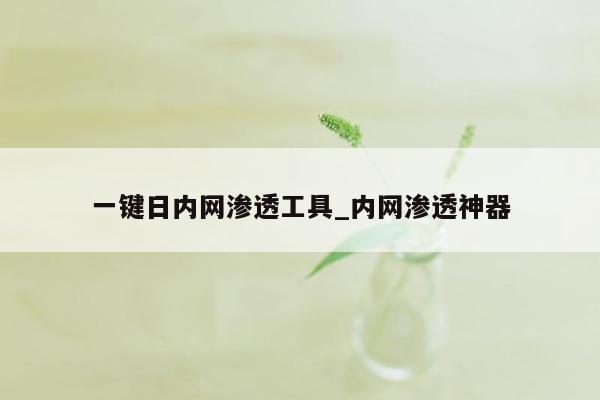 一键日内网渗透工具_内网渗透神器