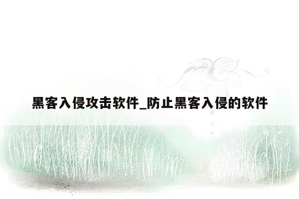 黑客入侵攻击软件_防止黑客入侵的软件