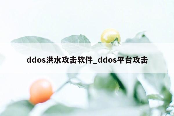 ddos洪水攻击软件_ddos平台攻击