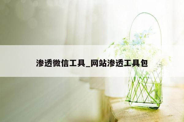 渗透微信工具_网站渗透工具包