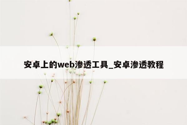 安卓上的web渗透工具_安卓渗透教程