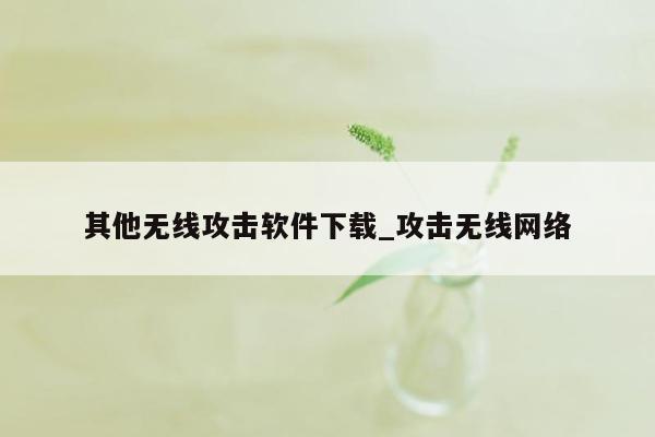 其他无线攻击软件下载_攻击无线网络