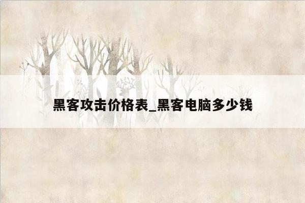 黑客攻击价格表_黑客电脑多少钱