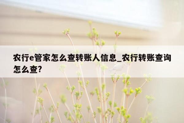 农行e管家怎么查转账人信息_农行转账查询怎么查?