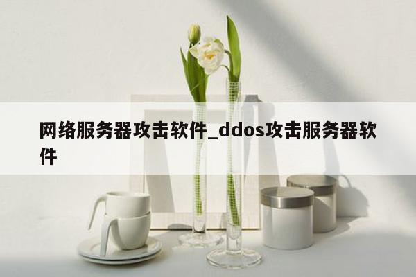 网络服务器攻击软件_ddos攻击服务器软件