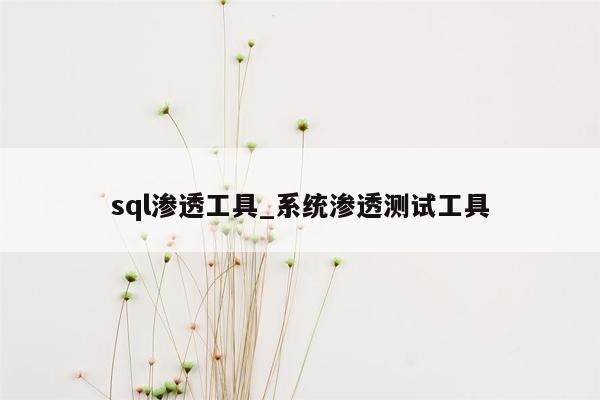 sql渗透工具_系统渗透测试工具