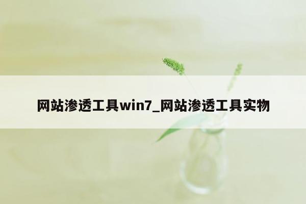 网站渗透工具win7_网站渗透工具实物