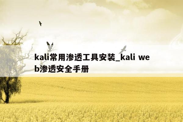 kali常用渗透工具安装_kali web渗透安全手册