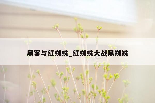 黑客与红蜘蛛_红蜘蛛大战黑蜘蛛