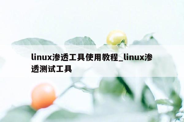 linux渗透工具使用教程_linux渗透测试工具