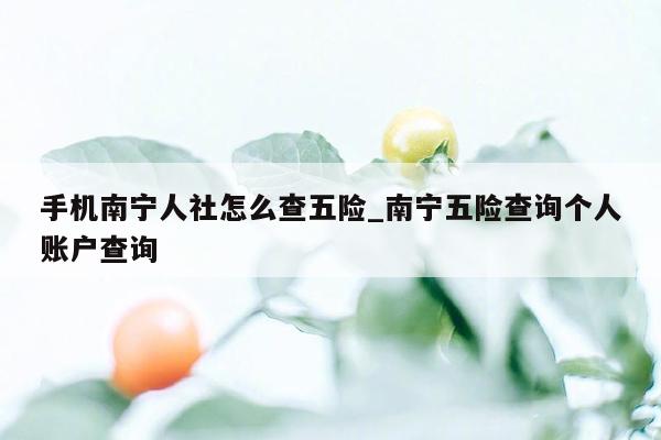 手机南宁人社怎么查五险_南宁五险查询个人账户查询