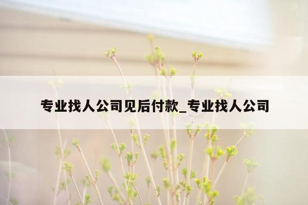 专业找人公司见后付款_专业找人公司