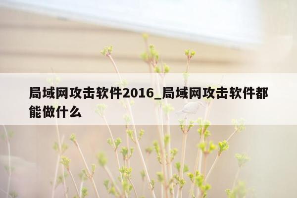 局域网攻击软件2016_局域网攻击软件都能做什么