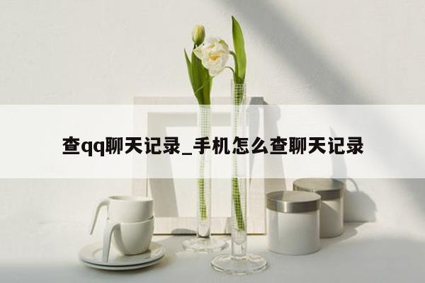 查qq聊天记录_手机怎么查聊天记录