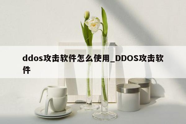 ddos攻击软件怎么使用_DDOS攻击软件