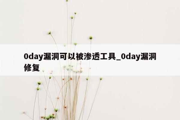 0day漏洞可以被渗透工具_0day漏洞修复