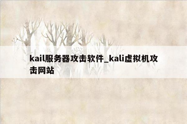 kail服务器攻击软件_kali虚拟机攻击网站