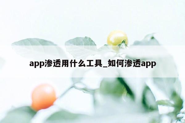 app渗透用什么工具_如何渗透app