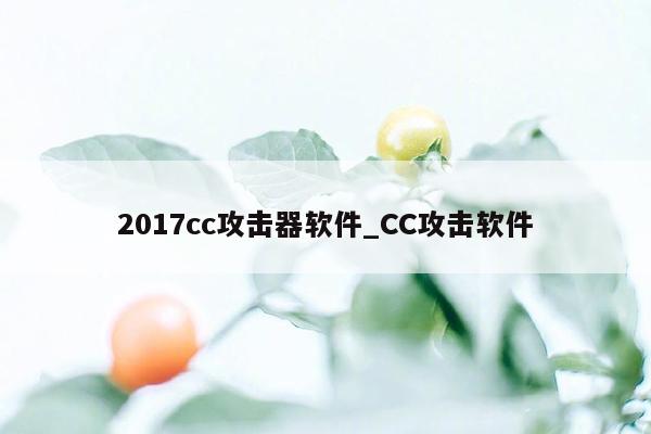 2017cc攻击器软件_CC攻击软件