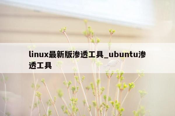 linux最新版渗透工具_ubuntu渗透工具