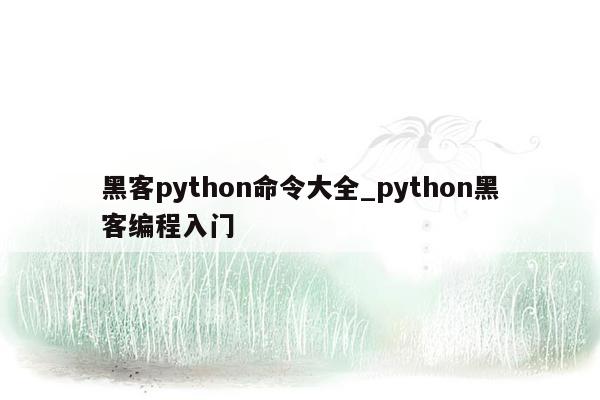 黑客python命令大全_python黑客编程入门